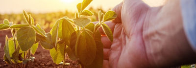 ProductStewardship_Belzer