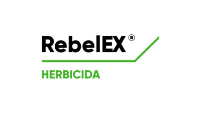 RebelEX logo