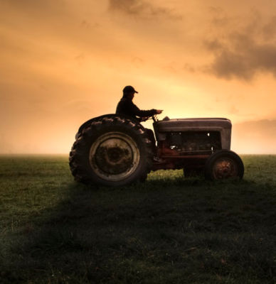 man driving tractor in field at sunset with dark yellow sky