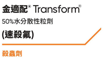 Transform_Logo