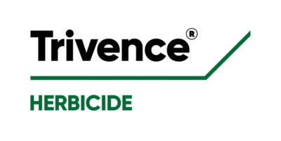 Trivence logo