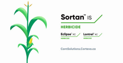 Corteva Agriscience helps farmers keep their corn fields clean of difficult-to-control weeds such as wild buckwheat and Canada thistle with industry-leading corn protection solutions such as Sortan IS, Eclipse XC and Lontrel XC. 