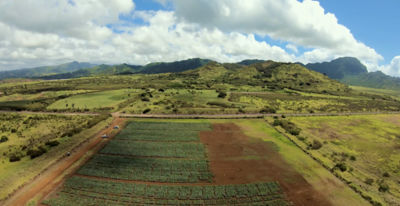 Corteva_Kauai_Small_CC