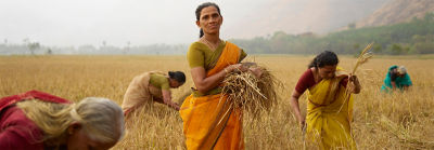Femeile în câmpul de grâu