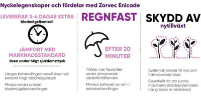 Zorvec Enicade  illustratör
