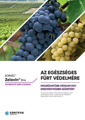 ZorvecZelavinBriaKatalogus