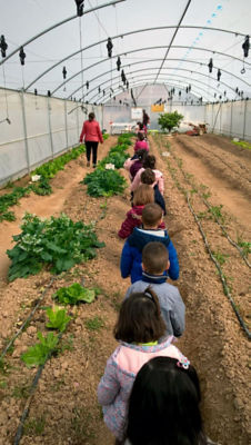 Niños en fila visitando un huerto