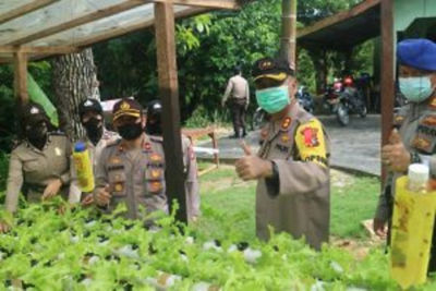 Jaga Ketahanan Pangan Polres Lingga Budidaya iLelei Jaga Ketahanan Pangan Polres Lingga Budidaya iLelei