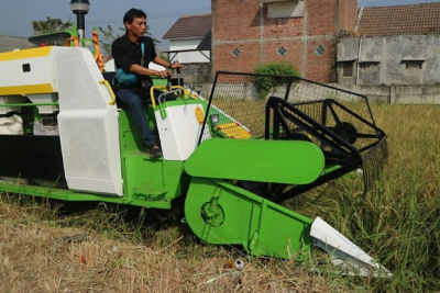 Petani Jombang Bermigrasi dari Pola Tanam Konvensional ke Petani Jombang Bermigrasi dari Pola Tanam Konvensional ke