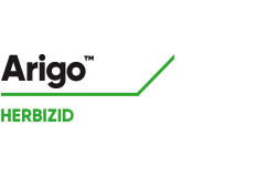 Arigo™ Herbizid Mais