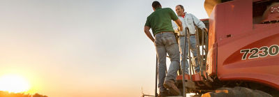 Asesoramiento en ciclo de cultivo