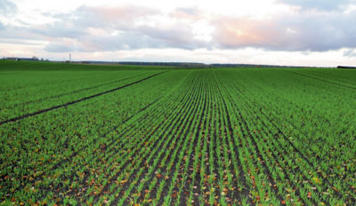 ELASTYCZNOŚĆ – szerokie okno aplikacji