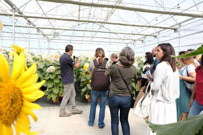 Catedra corteva grupo