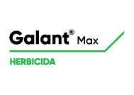 Galant Max Logo
