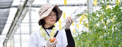 トマト　スマート　トランスフォーム　殺虫