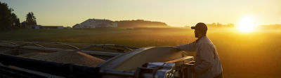 Man in field at sunrise