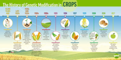 gmo biotech infographic