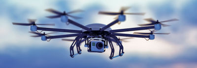 Monitoreo de forrajes