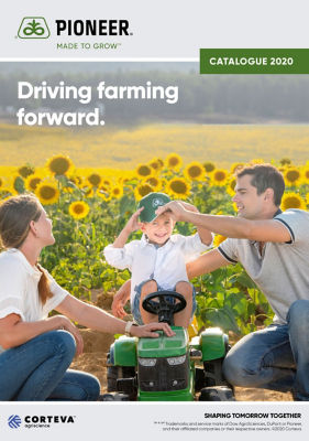 Nueva imagen Pioneer