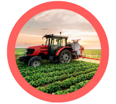 prog-aplicacao-responsavel