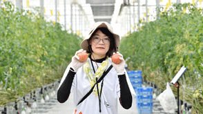 トマトハウスのコナジラミ防除　スマートアグリカルチャー磐田様のトランスフォームフロアブル使用例