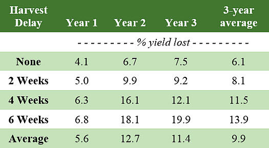 Effect of harvest delay on soybean field losses.