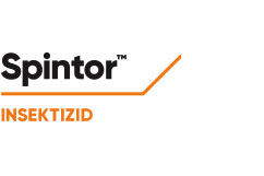 Spintor™ Insektizid Mais