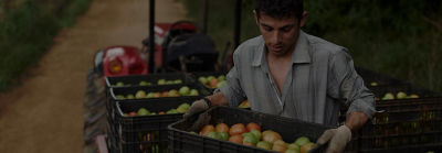 str-02-mobile-br-new