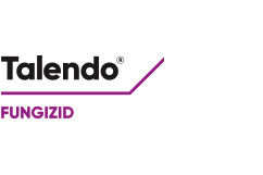 Talendo® Fungizid Wein