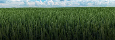 text-on-image-image-desktop_lt-2