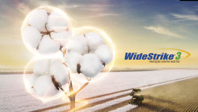 Vídeo institucional da nova tecnologia WideStrike®